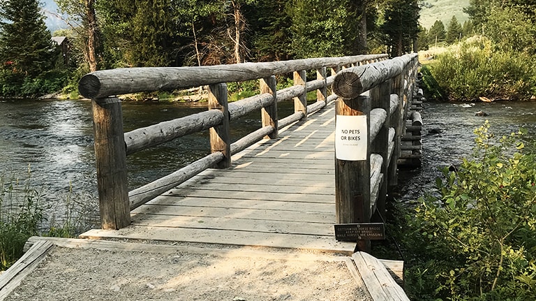 Jenny Lake Foot Bridge