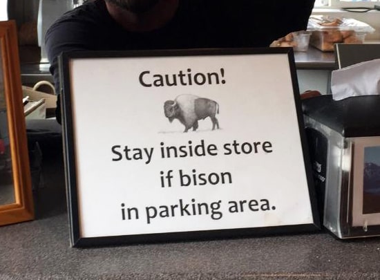 Caution! Stay inside store if bison in parking area