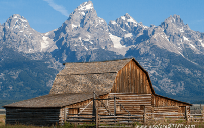 See the Moulton Barns on Mormon Row – One of Grand Teton’s Famous Four Sights