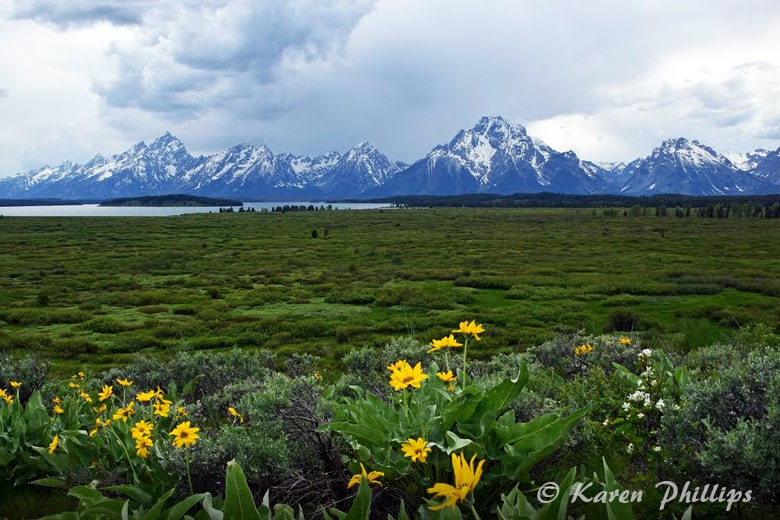 View from Lunch Tree Hill. Photo: © Karen Phillips @ http://wishuponanrvstar.blogspot.com/