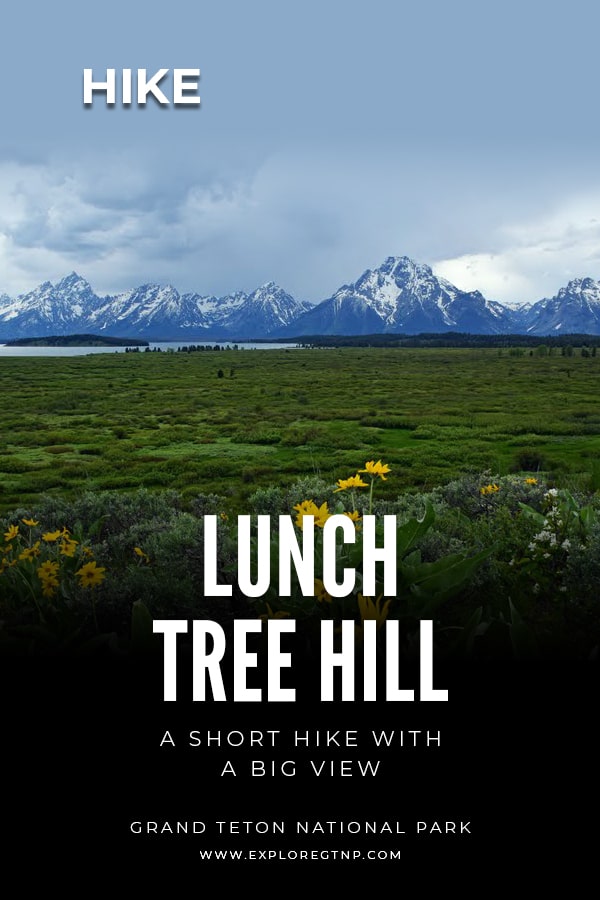 Lunch Tree Hill - A Short Hike with a Big View - exploreGTNP.com