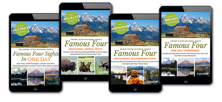 Explore GTNP's Grand Teton National Park's Famous Four Sights in ONE Day Guide