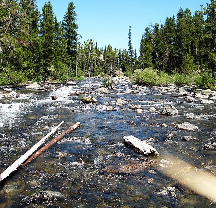 String Lake Hiking Trails – Something Here for Everyone