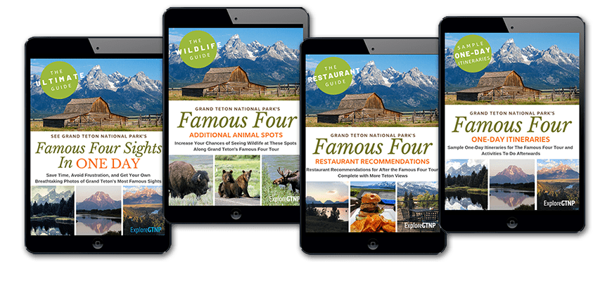 Explore GTNP's Famous Four Sights in ONE Day Guide