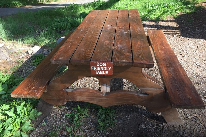 Dog Friendly Table at Leek's Marina and Pizzeria in Grand Teton National Park