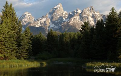 See Schwabacher Landing – One of Grand Teton’s Famous Four Sights