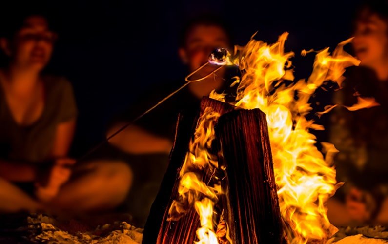 Kids Roasting Marshmallows at a Campfire