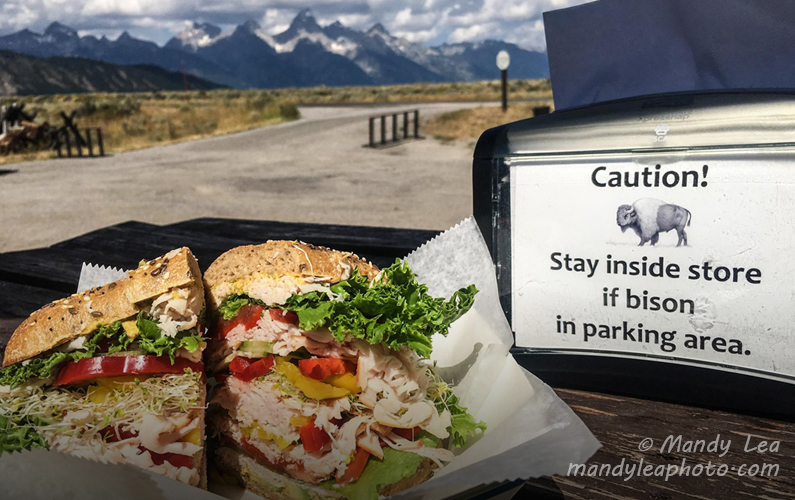 Grand Teton Kelly on the Gros Ventre Cafe Mandy Lea Photo