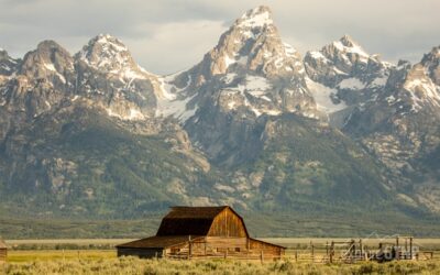 See Grand Teton National Park’s Famous Four Sights