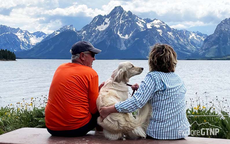 Grand Teton National Park - Colter Bay Picnic Area on Swimming Beach - Couple with dog looking over Jackson Lake with Teton Views