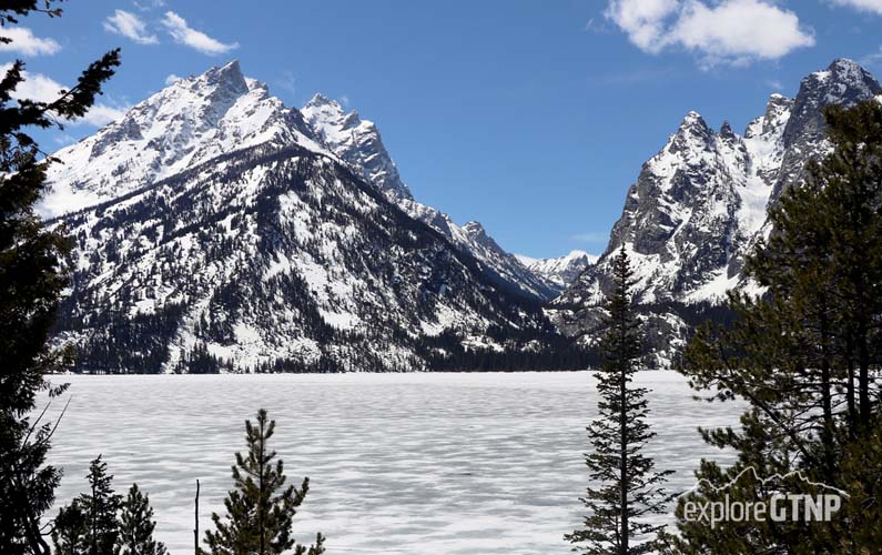 grand-teton-national-park-jenny-lake-overlook-in-may-lots-of-snow