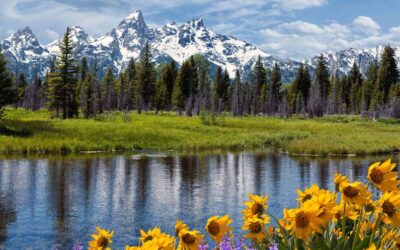 4 Advantages to Visiting Grand Teton in June and 3 Challenges