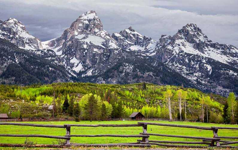 grand-teton-in-june-snow-capped-tetons-vibrant-green-grass-in-foreground-with-buckrail-fence