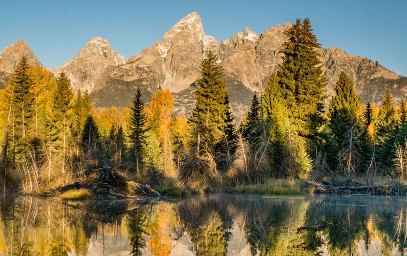 Schwabacher Landing with fall colors