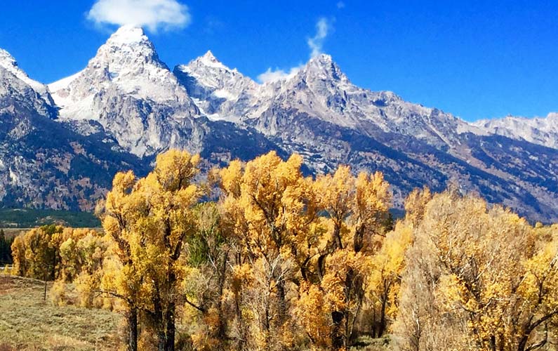 Grand Teton with dusting of snow, trees with yellow leaves in foreground -- grand teton national park -- photo credit ForTheRock - Taken on 9/25/2016